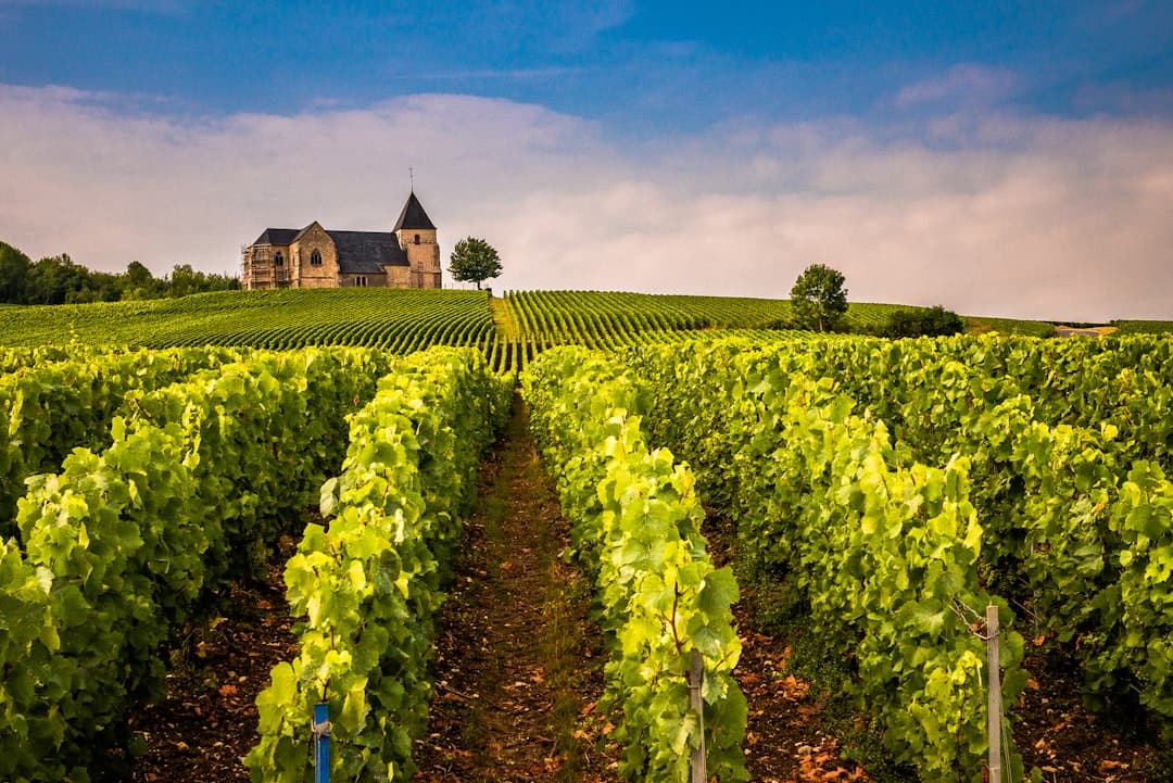 Paysage du département Aube
