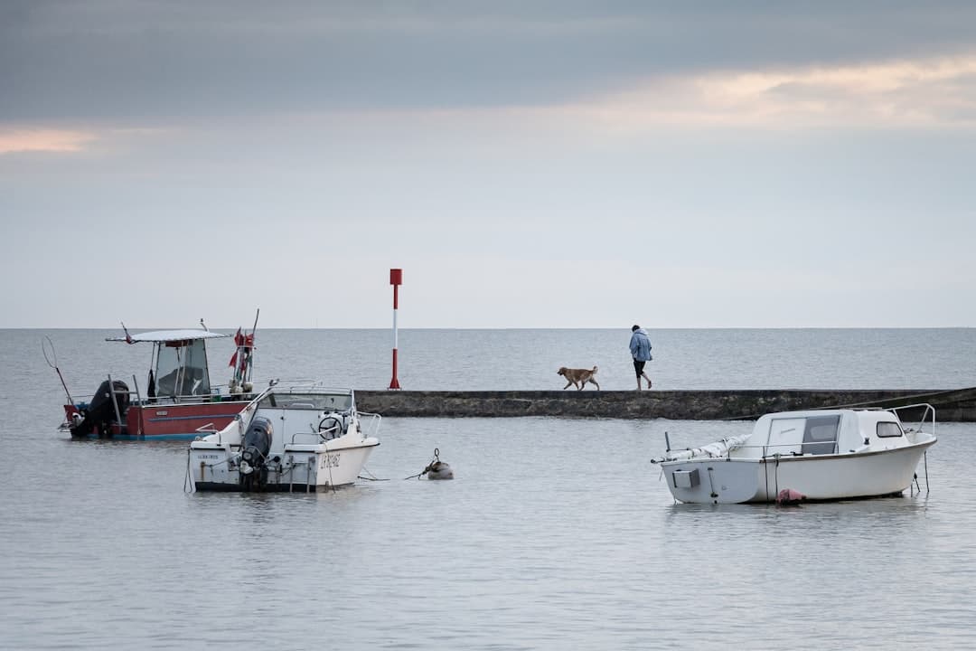 Paysage du département Charente-Maritime