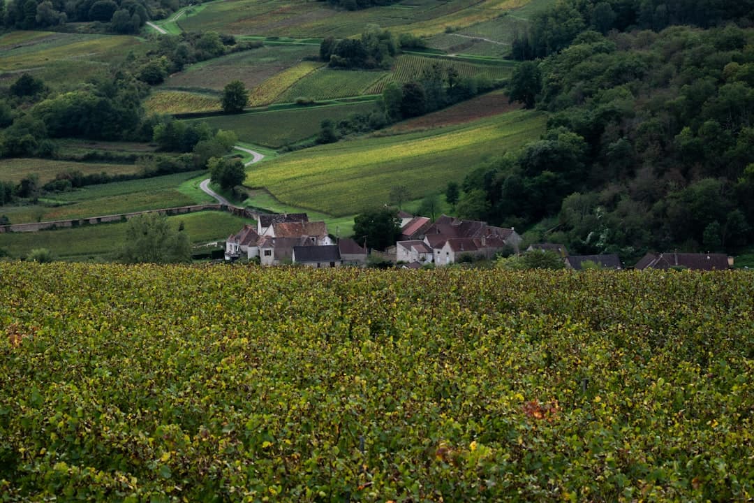 Paysage du département Côte-d'Or