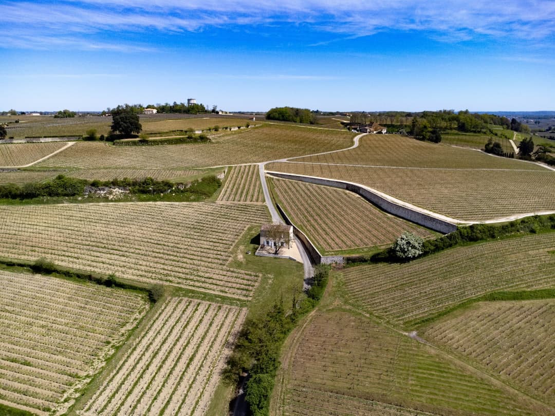 Paysage du département Gironde