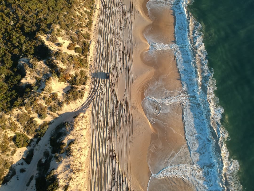 Paysage du département Landes