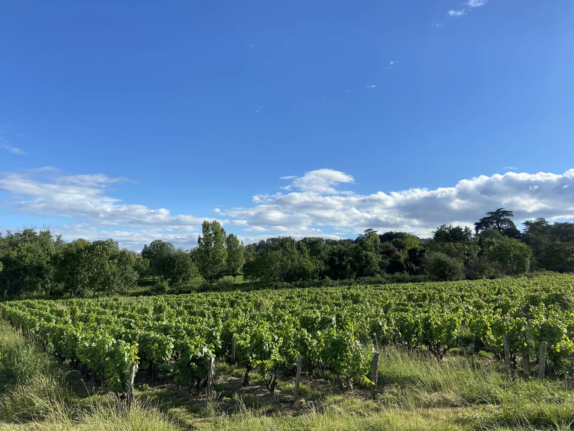 Photo 13 de La Maison de Blandine de Blacé, Habitat partagé inter-générationnel à Blacé