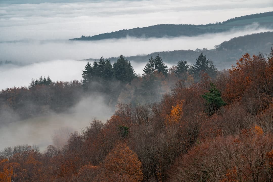 Paysage du département Ardennes
