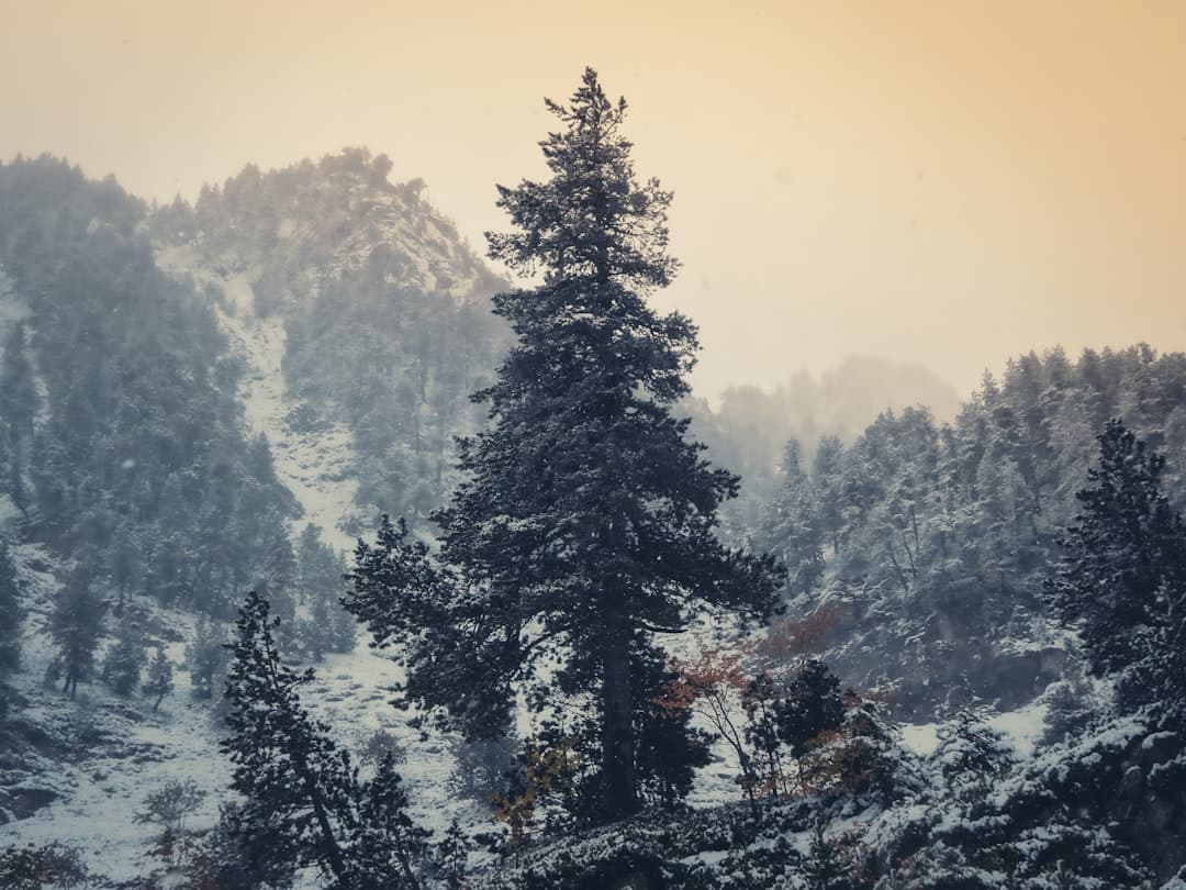 Paysage du département Ariège