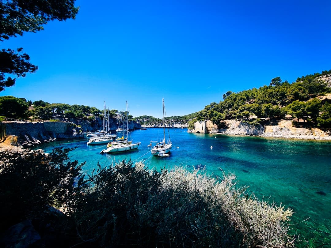 Paysage du département Bouches-du-Rhône