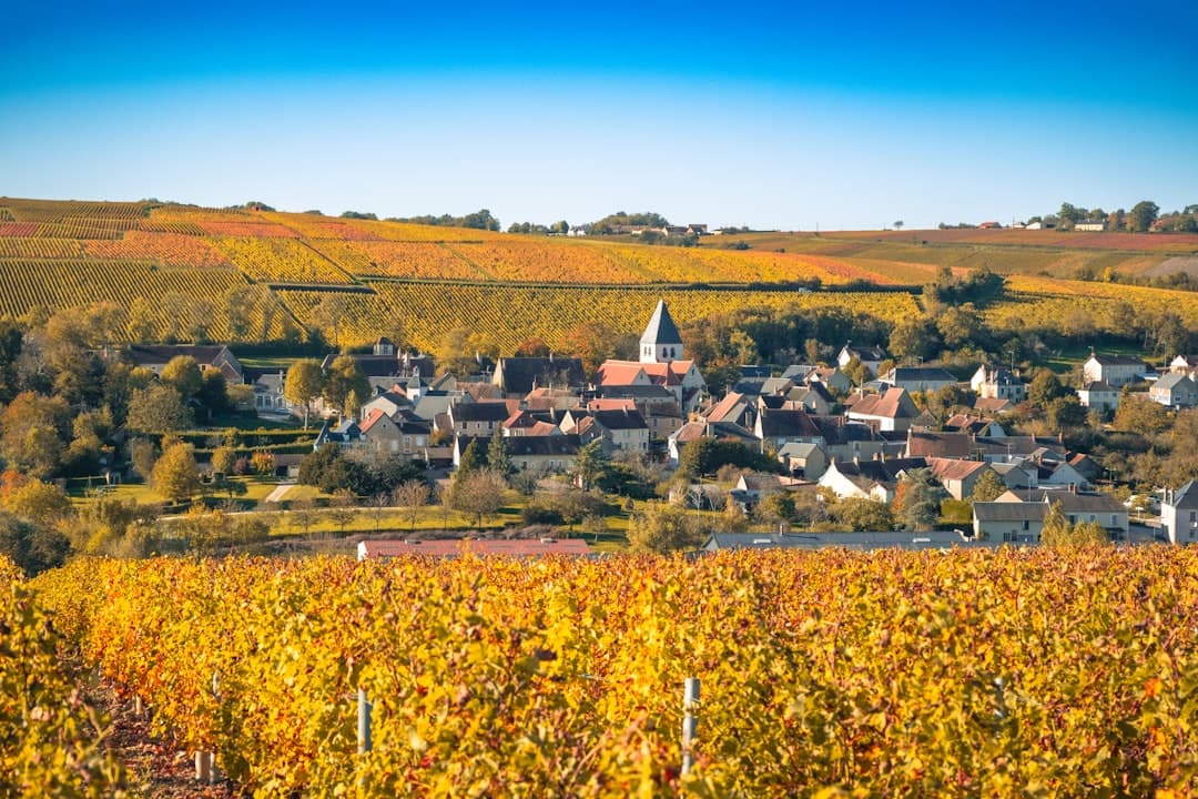 Paysage du département Charente