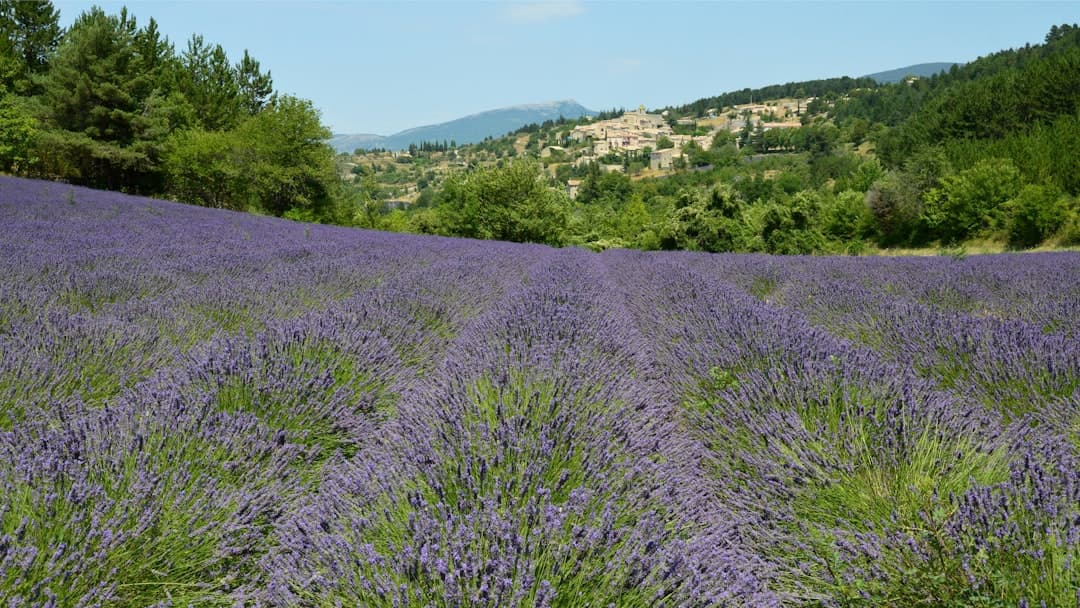 Paysage du département Drôme