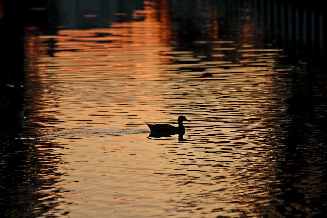 Paysage du département Val-d'Oise
