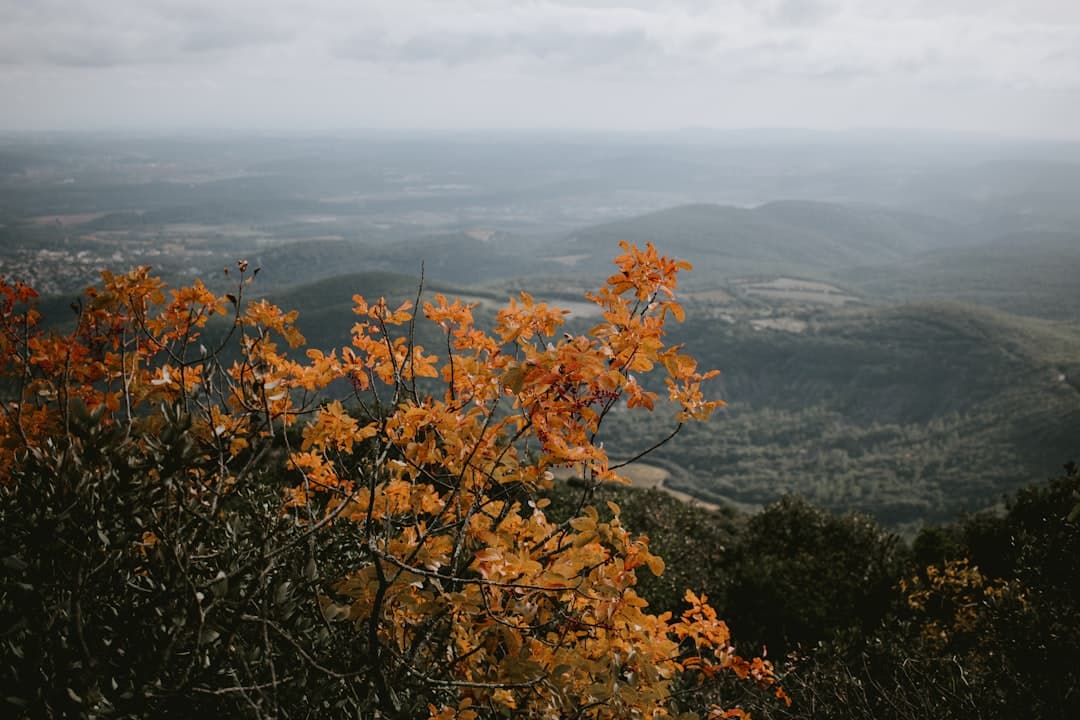 Paysage de la region Occitanie