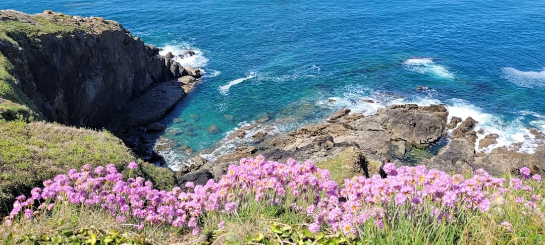 Paysage du département Côtes-d'Armor