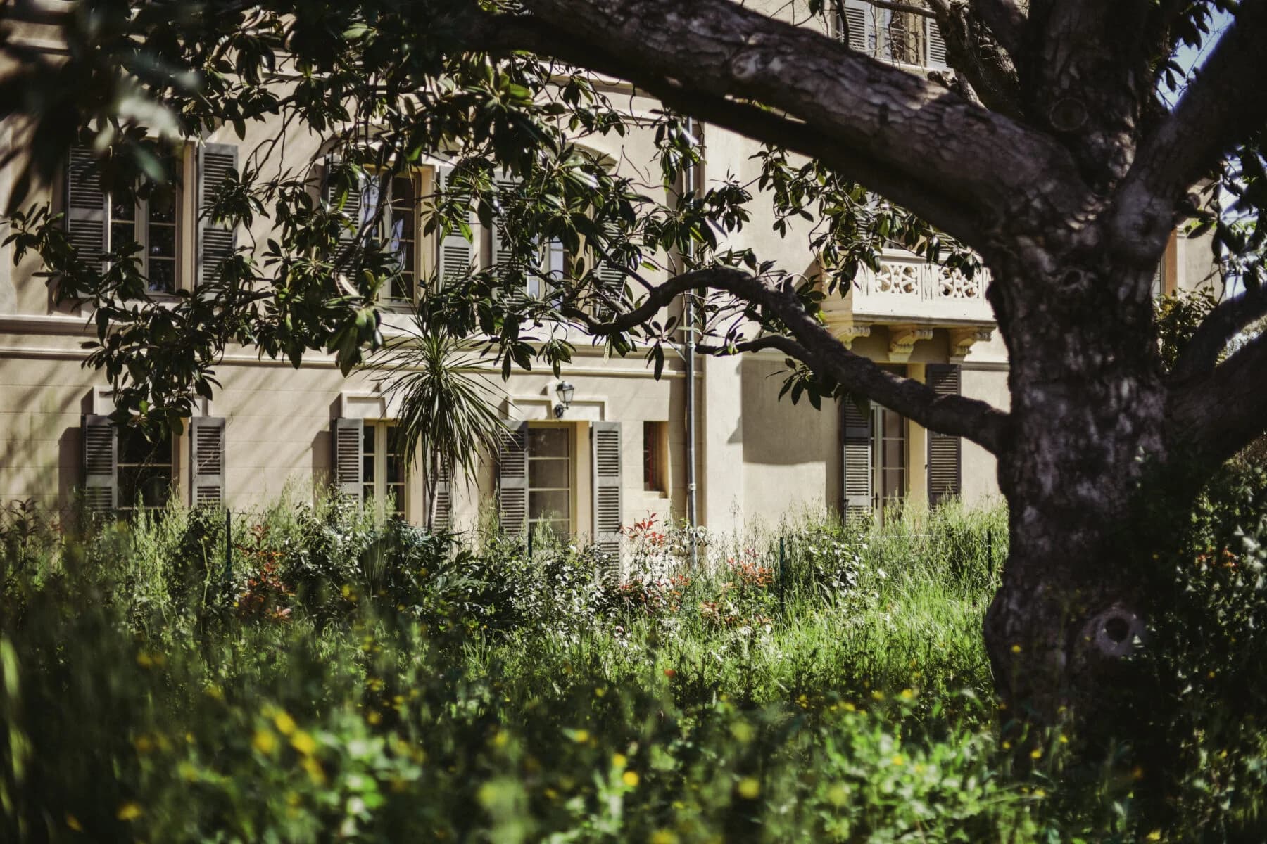 Photo 4 de CetteFamille - Maison partagée du Muy - Bastide, Habitat partagé senior à Le Muy