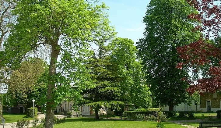 Photo 2 de Résidence Château Dranem, EHPAD à Ris-Orangis