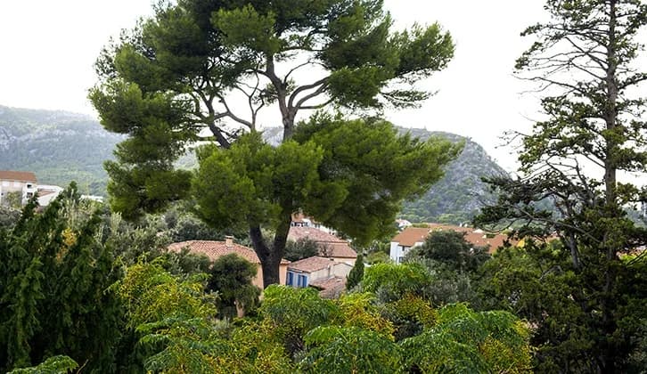 Photo 3 de Résidence Mazargues, EHPAD à Marseille