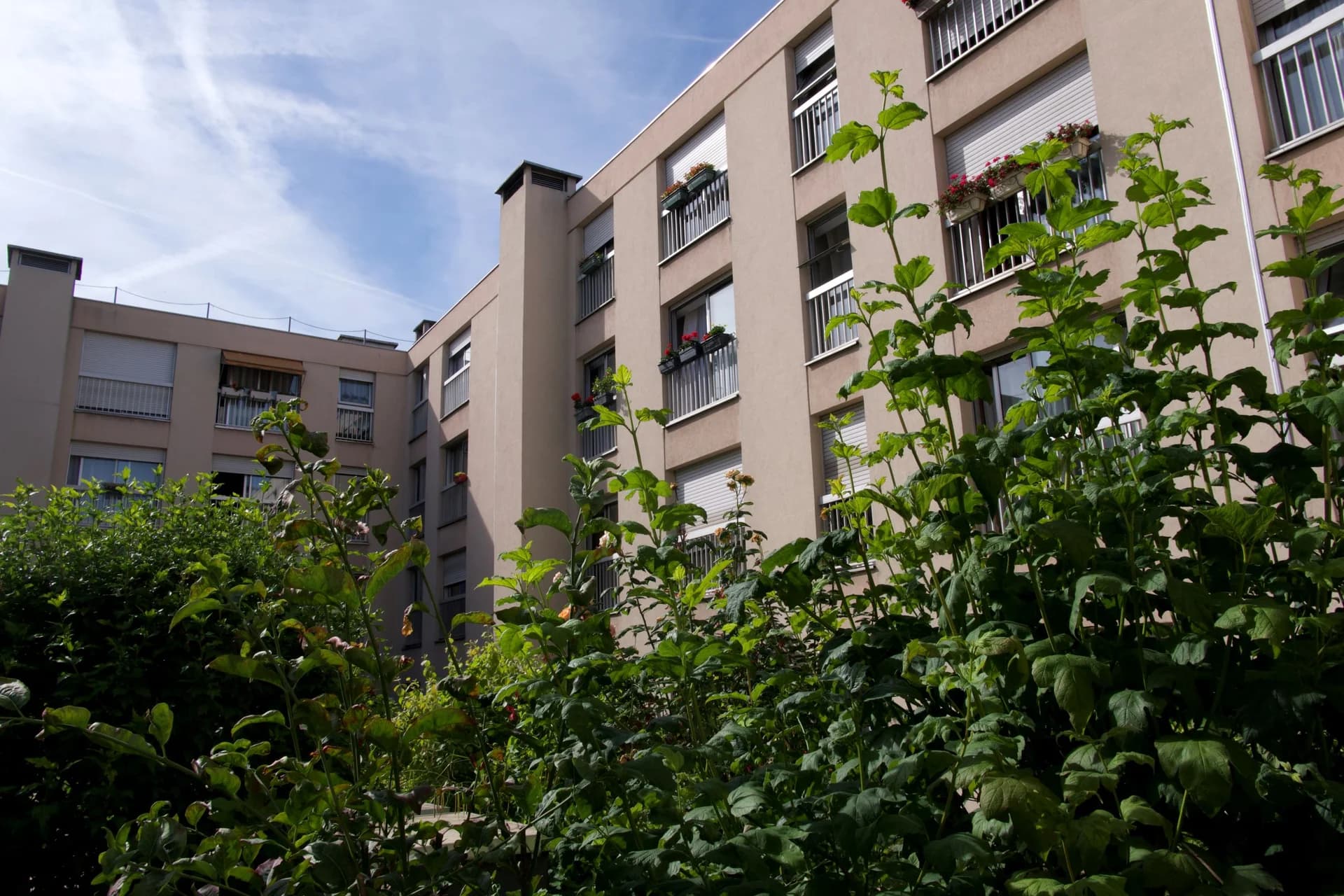Photo 2 de Résidence Autonomie Le Jardin des Moines, Résidence autonomie à Paris