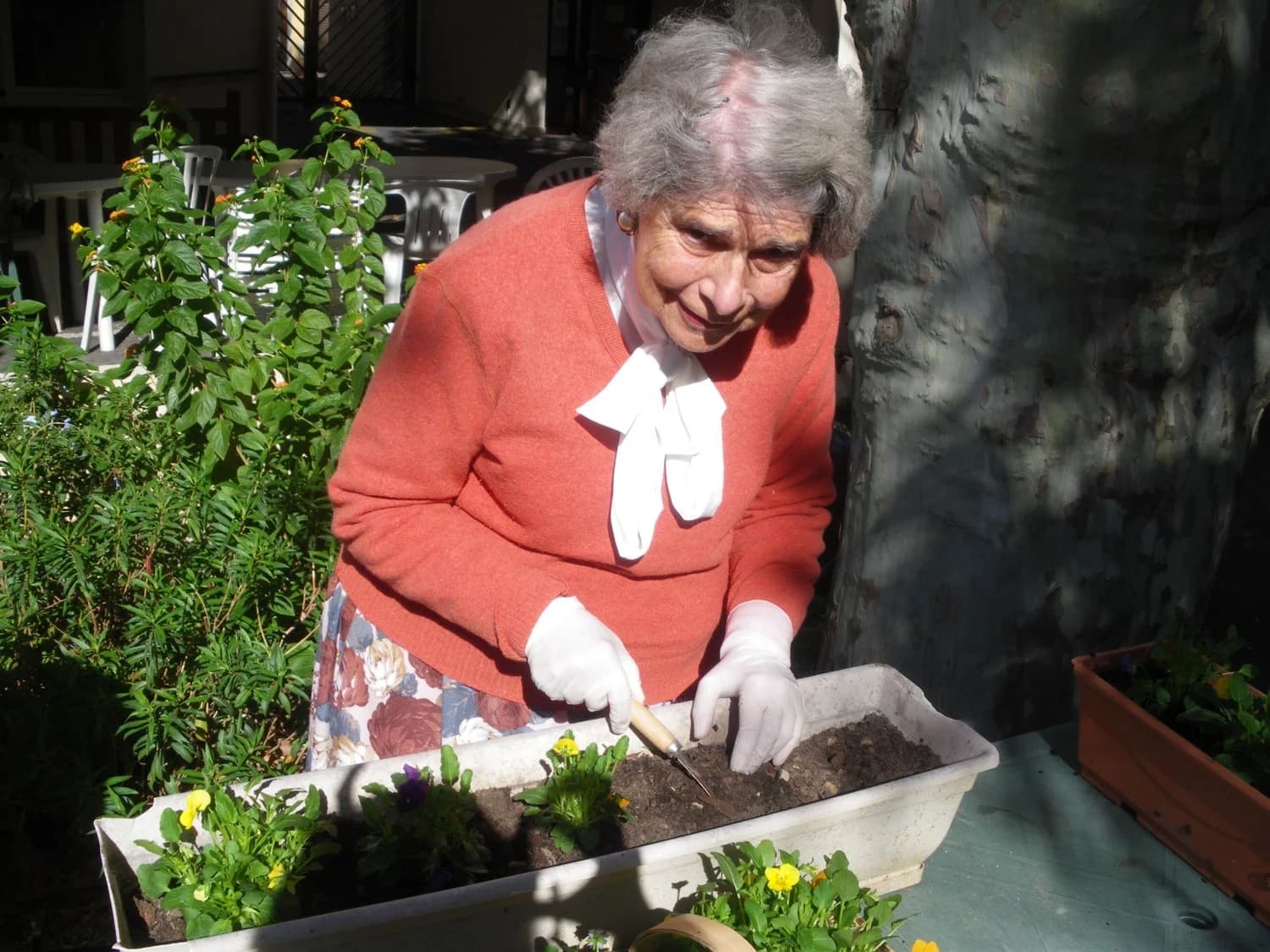 Photo 4 d'EHPAD Jeanne Marguerite, EHPAD à Toulon
