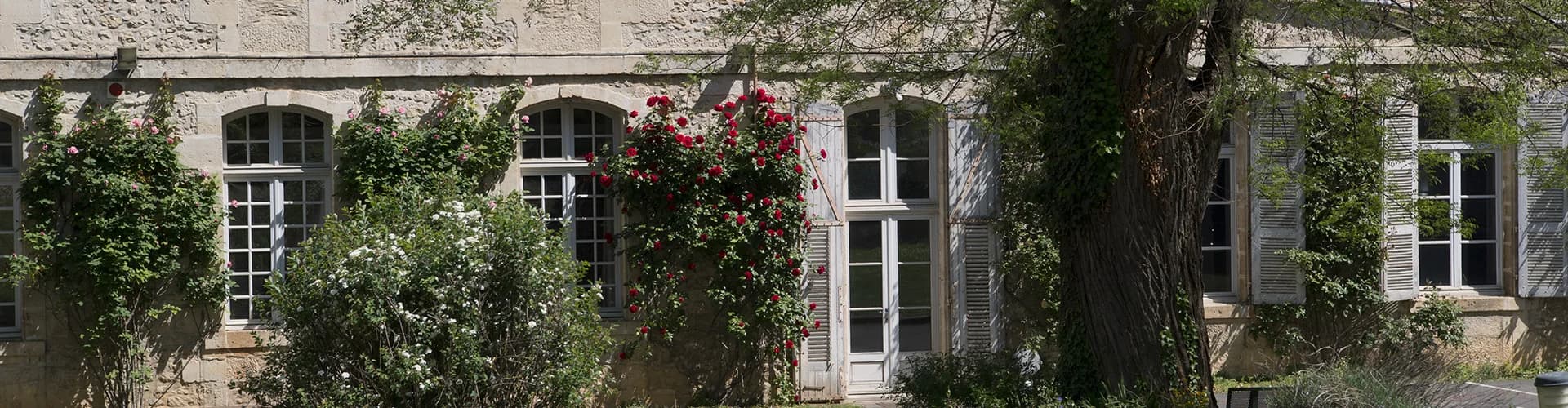 Photo 5 de Maison de retraite Les Feuillants, EHPAD à Poitiers